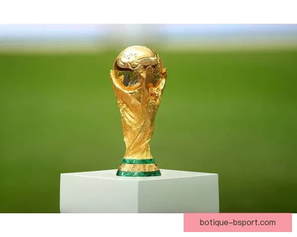 2026世界杯波士顿赛区门票优先预订政策正式公布